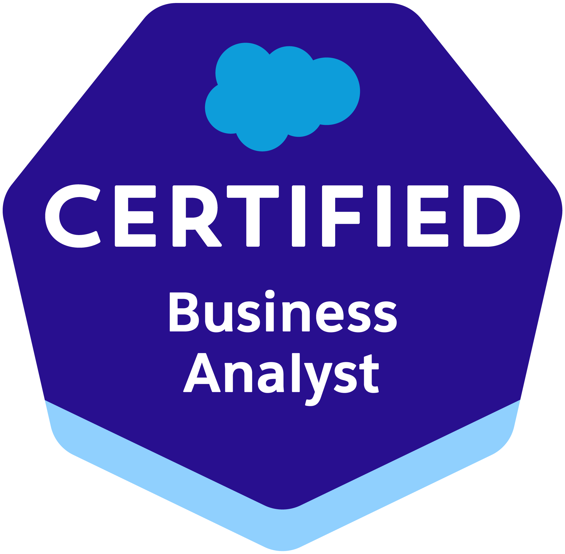 Salesforce Certified Business Analyst