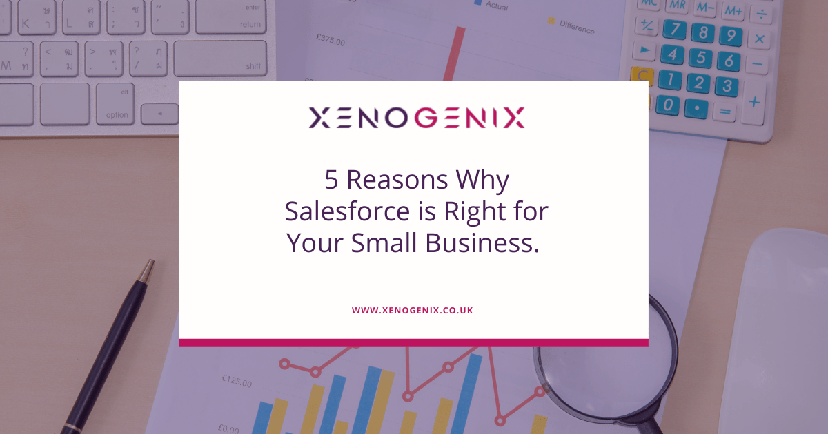 5 Reasons To Use Salesforce